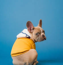 857 Like father like sons 🫣 #family #dadreveal