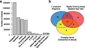 Check our services page for more information. Comparative Genomics Of The Miniature Wasp And Pest Control Agent Trichogramma Pretiosum Bmc Biology Full Text