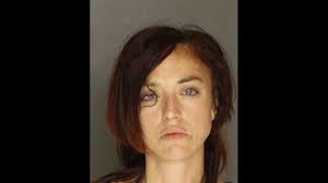 Police: Animal rights activist breaks into York County SPCA with baseball  bat