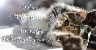 Erfreuen sie ihre lieblingsmenschen mit einem herzlichen glückwunsch für schönen anfang des tages oder bringen sie sie zum lachen mit unseren. Lustige Bilder Kostenlos Guten Morgen
