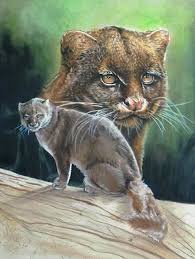 Diverse By Barbara Keith In 2020 Animals Cute Cats Cat Art