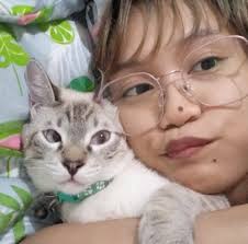 What are suggestions for dustless bentonite or using tofu in Leo's Loo Too  litter box?