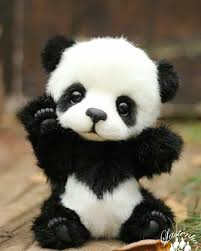 Hasil carian imej untuk cute panda