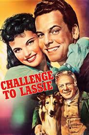 Challenge to Lassie (1949) directed by Richard Thorpe • Reviews, film +  cast • Letterboxd