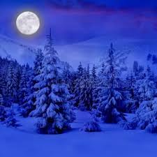 Monday 22 february 2021 (week 8). Bq1 Y2xanslipm