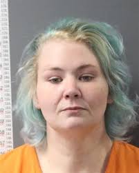HALEY ANN REESE, AKA HALEY ANN EDSELL, 29, Waverly, NY, was sentenced to  one month in the Bradford County Correctional Facility to a maximum of 12  months, for the offense of Theft