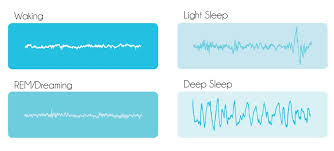 Sleep Cycles Sonic Sleep Coach