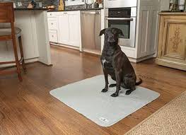 Essentially, the main purpose of the pads is to protect when your pup pees or poops on the pads, the liquid will be absorbed into the paper; What Dog Pee Pads Are And How They Work