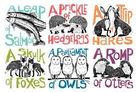 Picture Perkins And Morley Collective Nouns Learn Hebrew Online Learn Hebrew