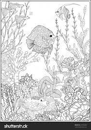 The picture can serve as a poster once colored. Seahorse Coloring Book Novocom Top