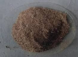 Biodegradation of Lignocellulosic Material
