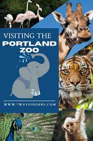 Family Travel Visiting The Portland Zoo 7 Wayfinders Portland Zoo Zoo American Vacations