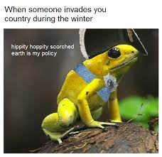 Maybe you would like to learn more about one of these? Hippity Hoppity Memes On The Rise Buy Buy Buy Memeeconomy