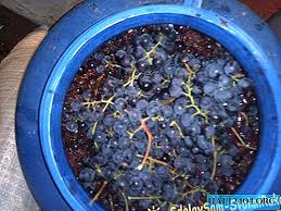 Guía para hacer vino casero. Hacer Vino En Casa Diferente