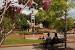 Logo Shsu