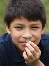 Golden Beakers plant garden at Clifton Ave. Grade School in Lakewood