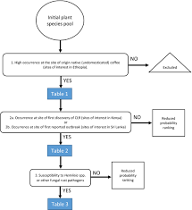 Image result for Balthasaria schliebenii
