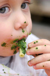 You'll also find tips for homemade baby food storage. Baby Food Recipes 10 Months The Baby Sleep Site
