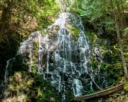 Trying to find the best oregon trails? Everything You Need To Know About The 10 Most Gorgeous Waterfall Hikes In Oregon