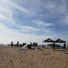 Profile for Trevor Downs