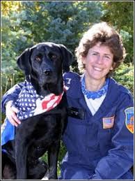 Mille er en vidunderlig, men også voldsomt understimuleret hvalp, der desværre aldrig er blevet præsenteret for nogen form for aktivering. Labrador Retriever Wikipedia