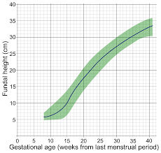 File Gestational Age And Fundal Height Png Wikimedia Commons