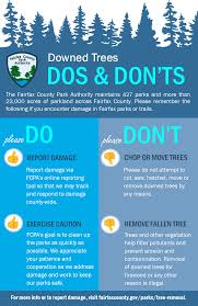 Maybe you would like to learn more about one of these? Tree And Debris Removal From Parkland Park Authority