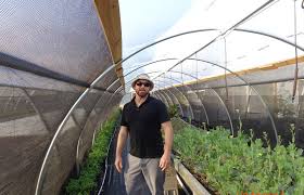 Here's how it works, and why it is so but it isn't 100% exclusion. High Tunnel Pest Exclusion System Sare Southern