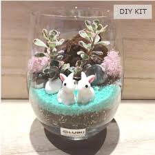 Succulent Terrarium Diy Kit 01 En 2020 Manualidades
