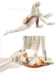 Protecting The Knee In Pigeon Pose Top Illustrates Engaging The Muscles On The Outside Of The Knee Bottom Show Pigeon Pose Piriformis Muscle Muscle Stretches