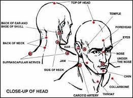 Knockout Pressure Point Chart Diagram Of The Most