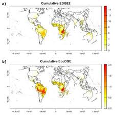 Image result for Scleria globonux