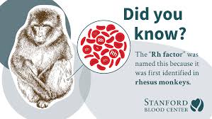 Hemochromatosis is a health condition that arises due to excess absorption of iron by the body. Blood Donation Facts Statistics Become A Blood Donor