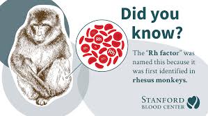 3:54 theodd1sout recommended for you. Blood Donation Facts Statistics Become A Blood Donor