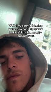 Straight Wallace Is Weird