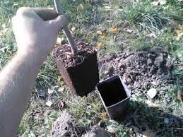 Maybe you would like to learn more about one of these? Cultivarea Alunului Youtube