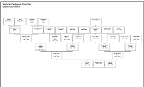 climbing my family tree paternal ancestor charts to