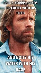 Chuck norris has published the official chuck norris fact book: Chuck Norris Fact Album On Imgur