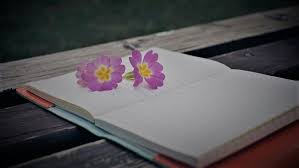 Surat yasin adalah surat al quran yang sangat populer setelah al fatihah. Faedah Surat Yasin Amalan Ketika Hidup Dan Bekas Amalan Akan Dicatat Rumaysho Com