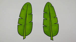 Take a light green color pencil and outline the entire tree with all leaves. Drawing Banana Leaf Step By Step L How To Draw Banana Leaf Youtube