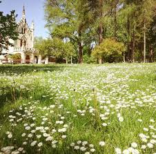 Castelul se află la 65 de km de iasi. Castelul Miclauseni Castelul Sturdza