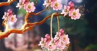 صبآحكم عطر وقلآئد فل صور متنوعة لـ صبآح آلخير 2019 مداد الجليد morning greeting plants greetings