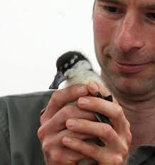 Breeding victory at Mt Bruce