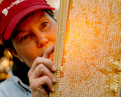 Prairie restoration pays off for Quamba farmers