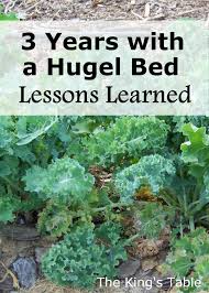 3 years with a hugel bed lessons learned organic vegetable garden organic gardening tips garden guide
