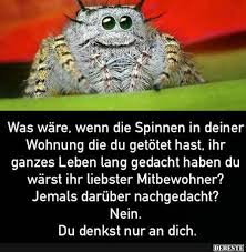Was Ware Wenn Die Spinnen In Deiner Wohnung Lustige Bilder Spruche Witze Echt Lustig Lustige Humor Bilder Lustig Lustige Spinne