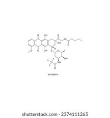 Image result for Valrubicin