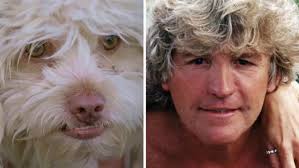 Vanderpump Dogs Official Trailer Peacock Original