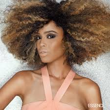 ESSENCE's Best in Black Beauty 2020: Hair