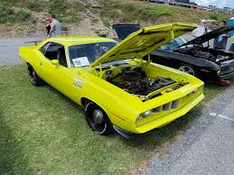 Image result for Curious Yellow 1971 Fury